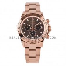 Daytona 116505 Chocolate Dial in Everose Gold