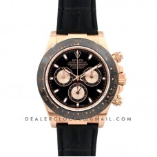 Daytona 116515 Black Dial in Rose Gold Daytona 116515 Black Dial in Rose Gold